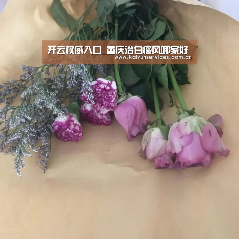开云官方平台