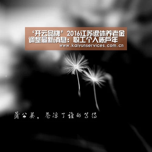 ‘开云品牌’2016江苏退休养老金调整最新消息:职工个人账户年利率调至2.6%(图3) 开云权威入口
