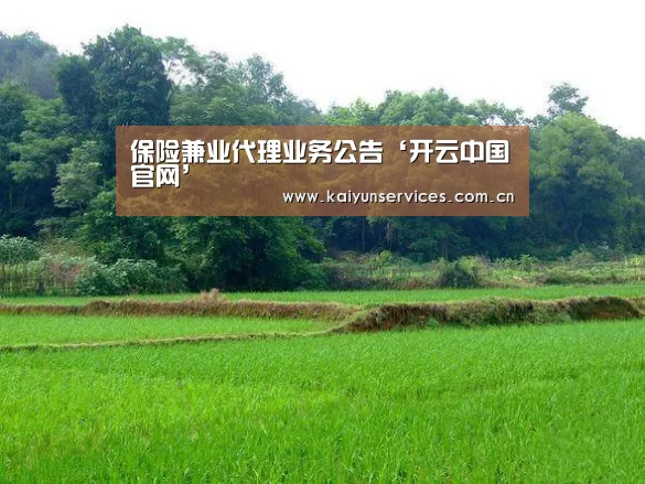 开云品牌